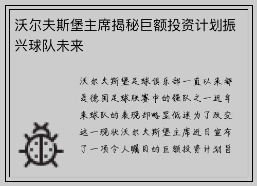 沃尔夫斯堡主席揭秘巨额投资计划振兴球队未来